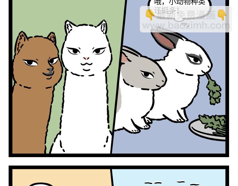 第337话 小动物馆-第341话
