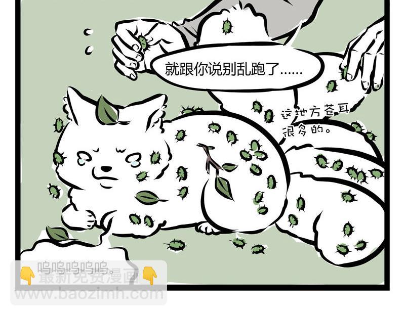 第41话 登山-第41话