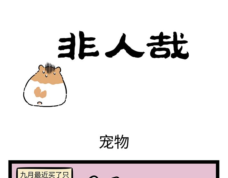 第419话 宠物-第425话