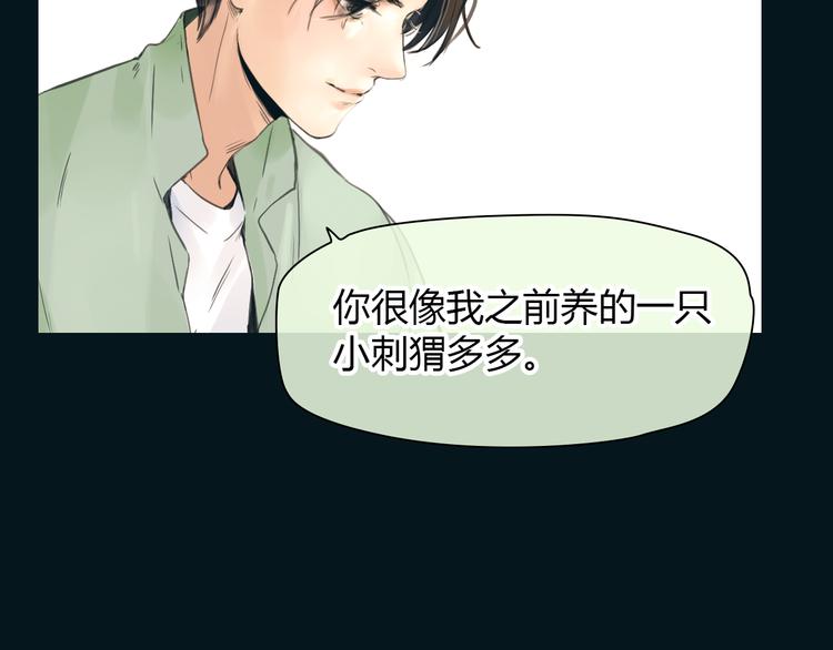🍻绯闻都市 完结篇 他乡变故乡 第17页