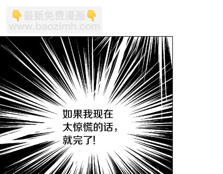 🍻绯闻女一号 番外28 爱撒谎的我们 第4页