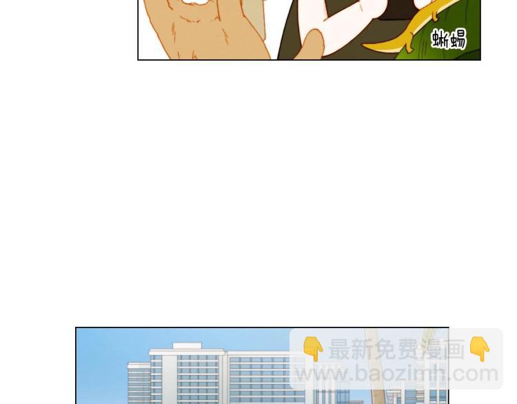 🍻绯闻女一号 番外58 幸福时刻 第50页
