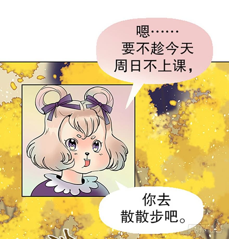 🍻飞仙学园×非仙少女 法宝测验 第20页
