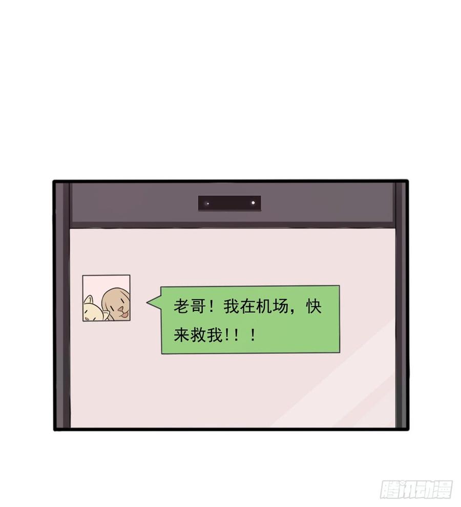 第39话 小可爱-第39话