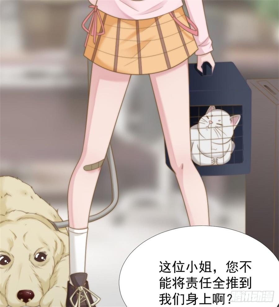 第39话 小可爱-第39话