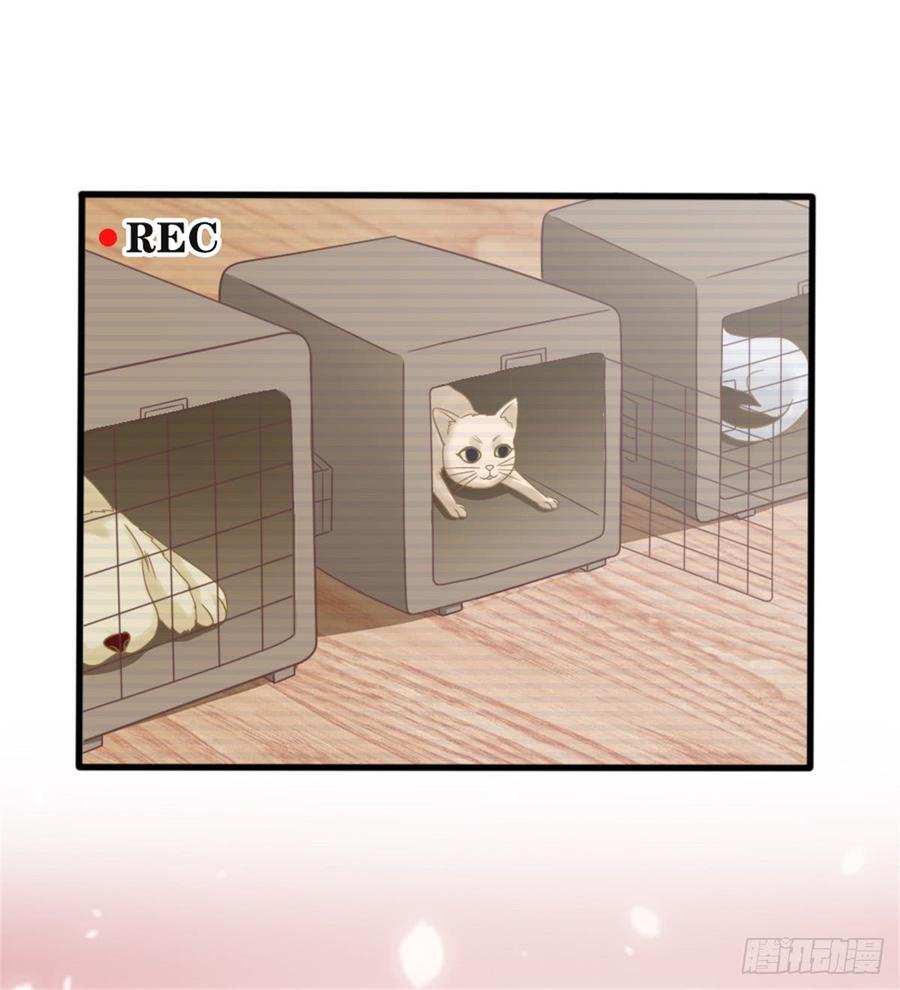 第39话 小可爱-第39话