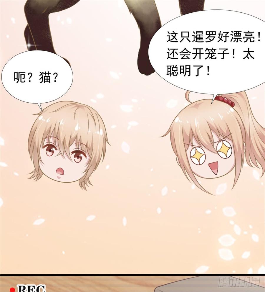 第39话 小可爱-第39话