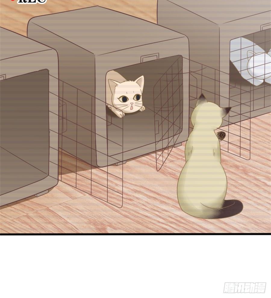 第39话 小可爱-第39话
