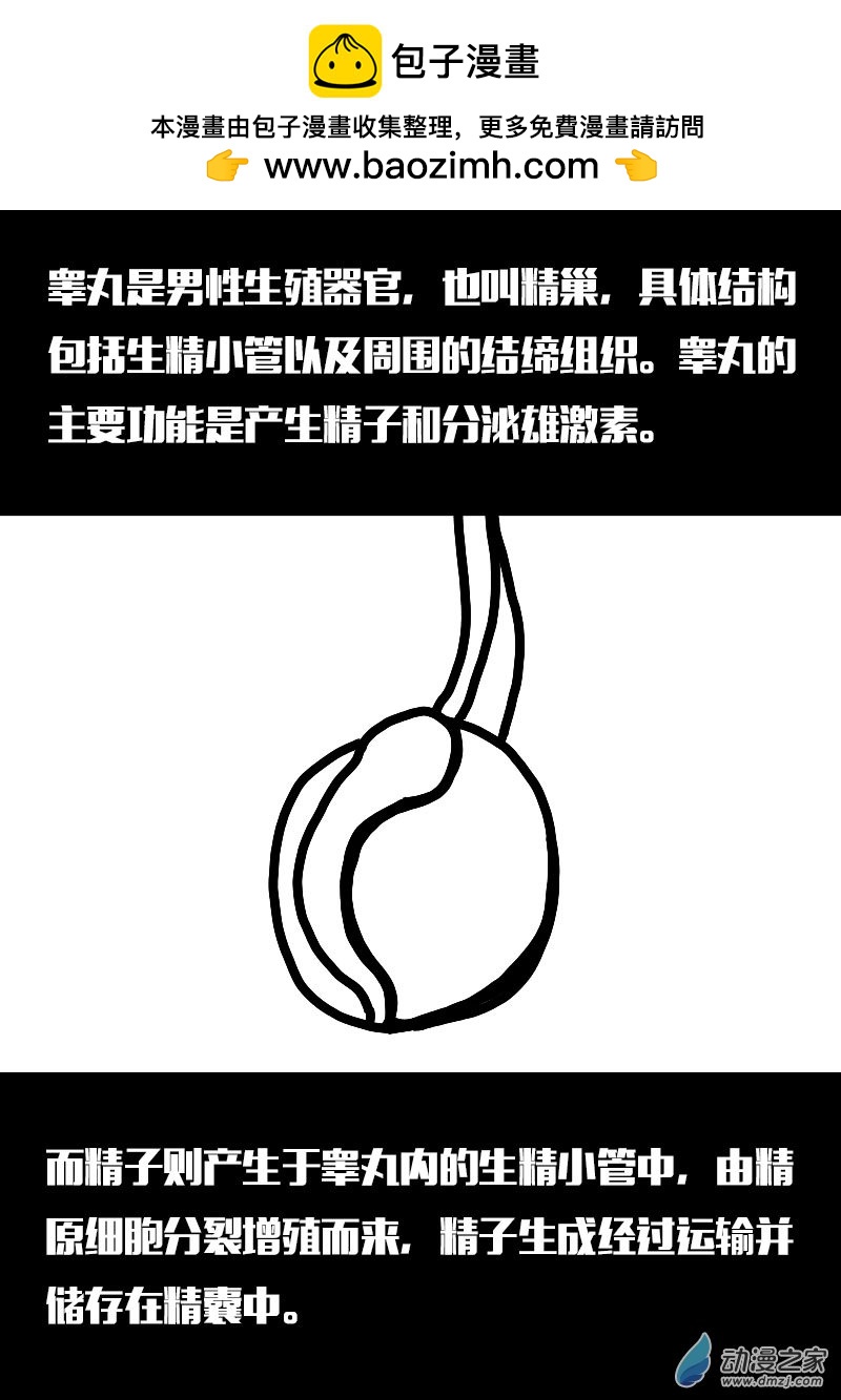 🍻非影Q的超记事簿 第555话 第2页
