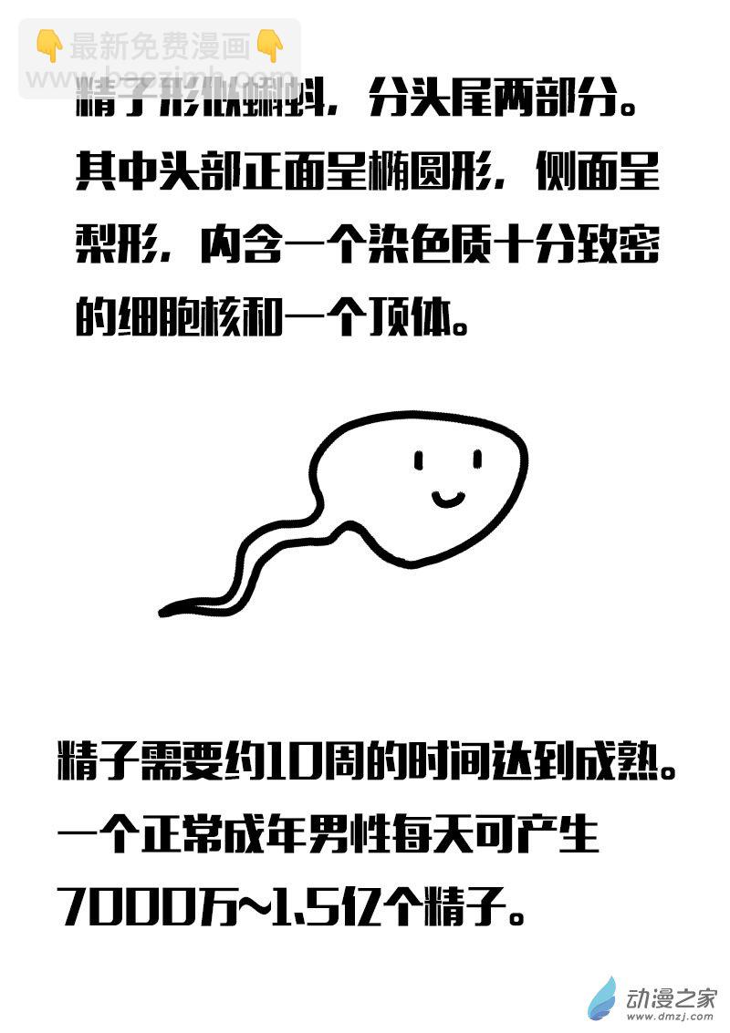 🍻非影Q的超记事簿 第555话 第3页
