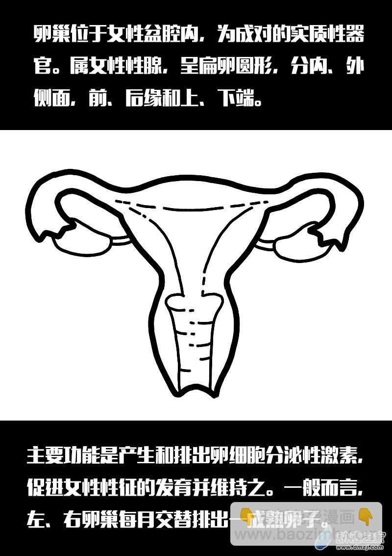 🍻非影Q的超记事簿 第555话 第4页