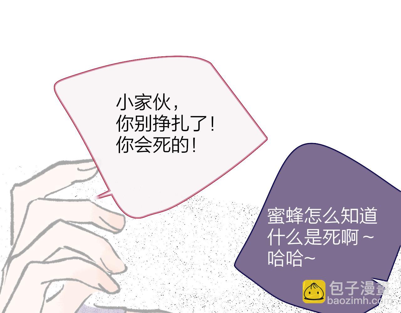 🍻非友人关系 小剧场 我是一只小蜜蜂岚 第13页