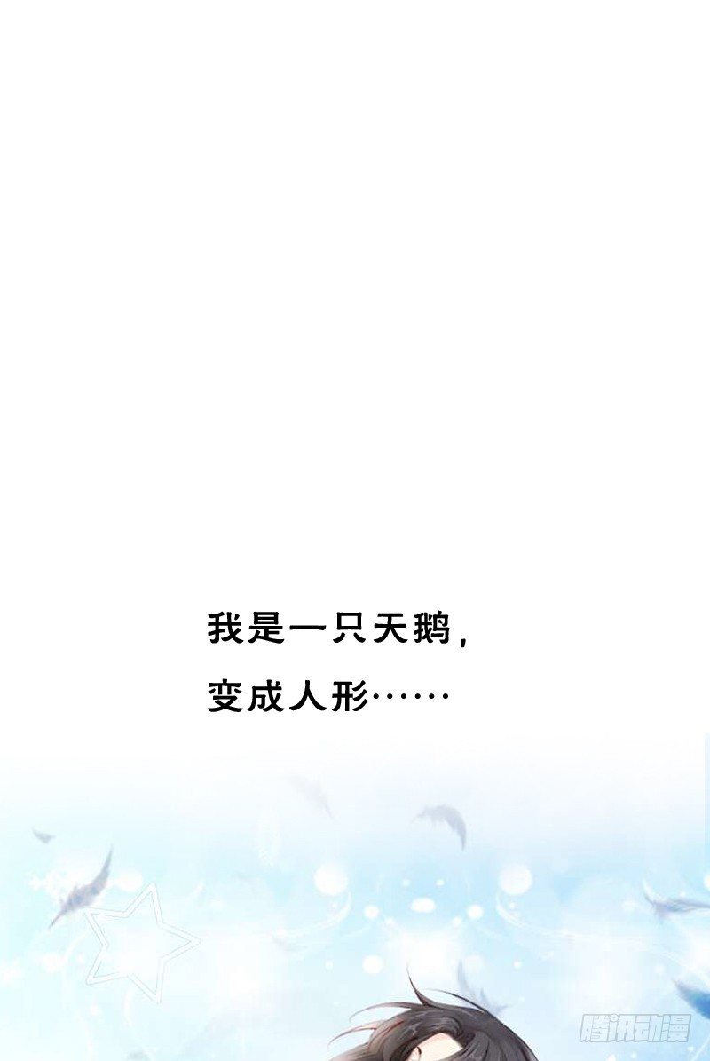 预告：飞越千山命中注定-第1话