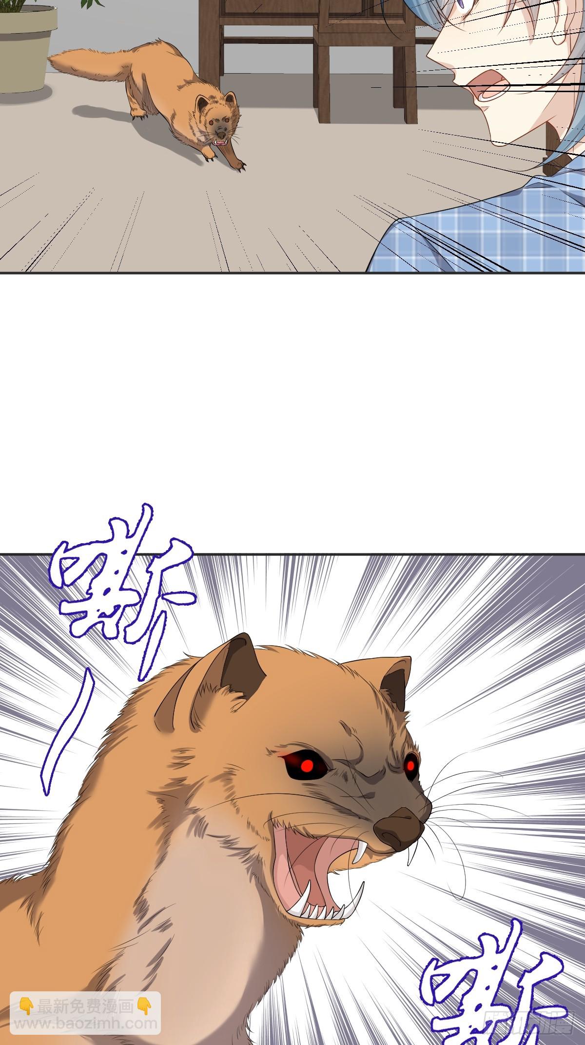 第179话 黄鼠狼-第183话