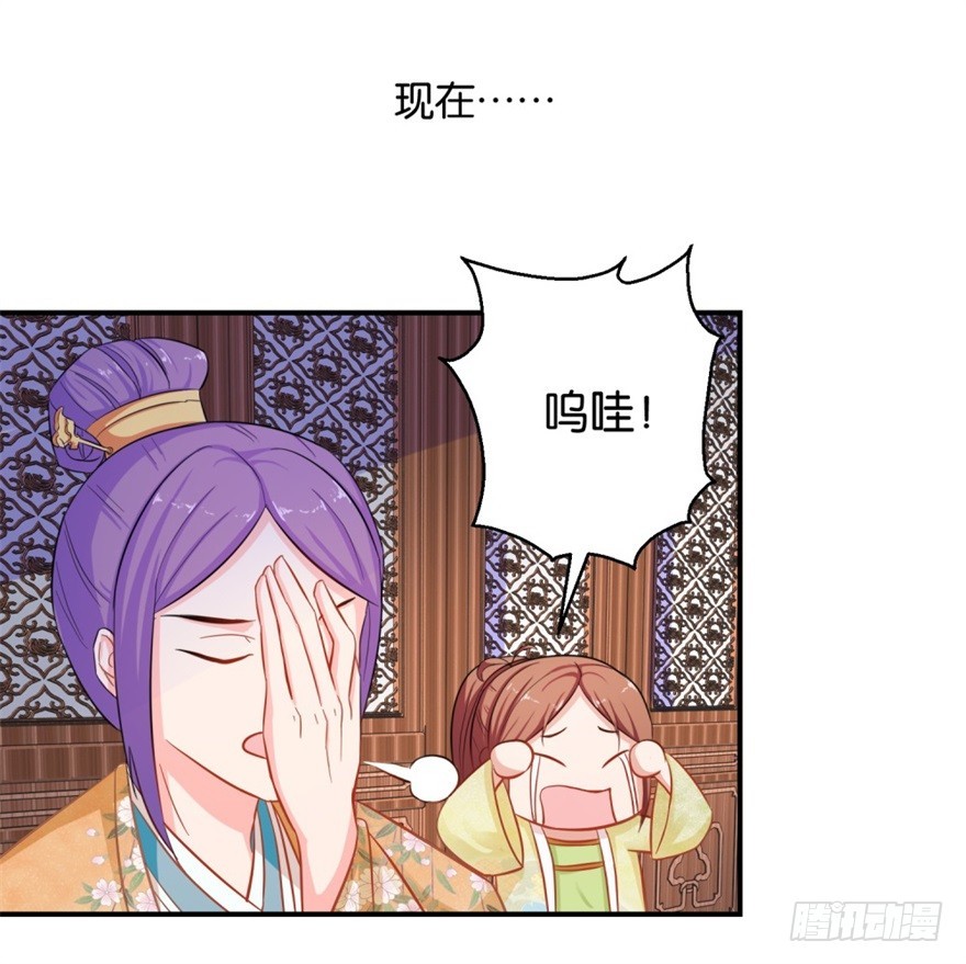 第四十回-第41话