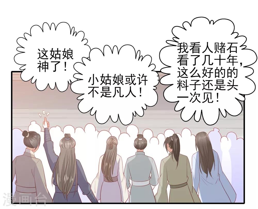 第46话 赌石-第53话