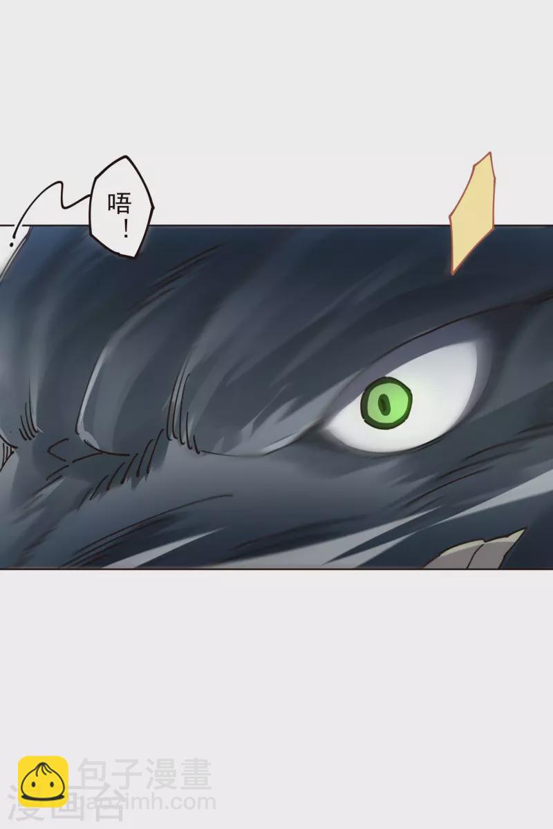 第294话 坏狗-第297话