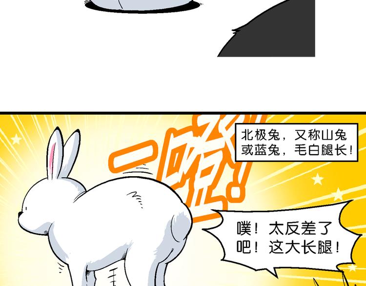 第33话 北极会友奇遇记(1/2)-第33话