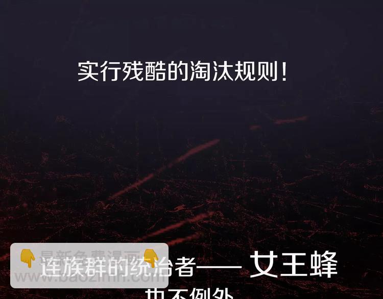 序章 玖月时月全新篇章-第1话