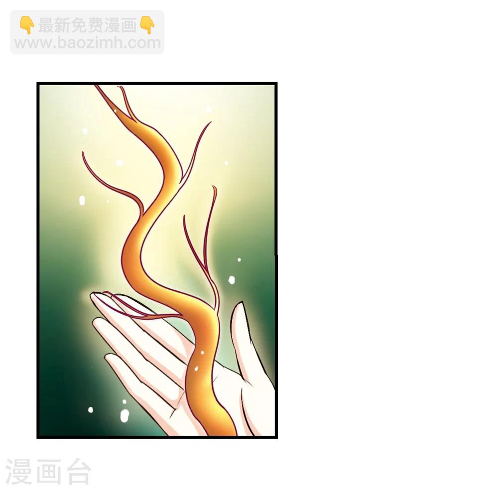 🍻风起苍岚 第165话 琅琊丹会2-1 第10页