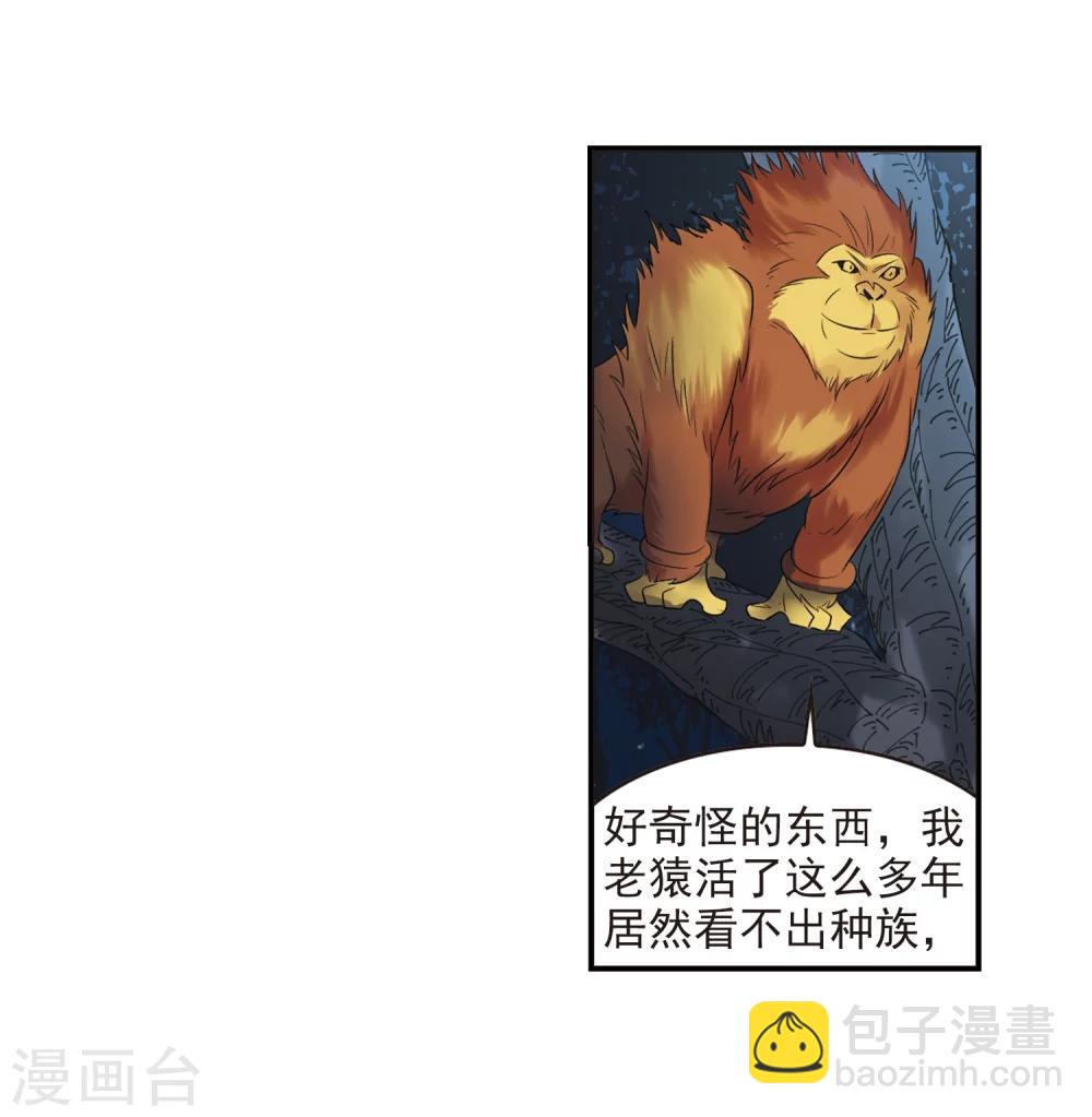 🍻风起苍岚 第277话 我为鱼肉2 第26页