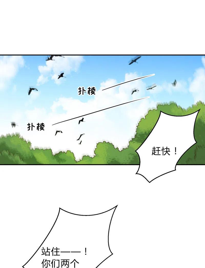 第52话 后有追兵-第53话