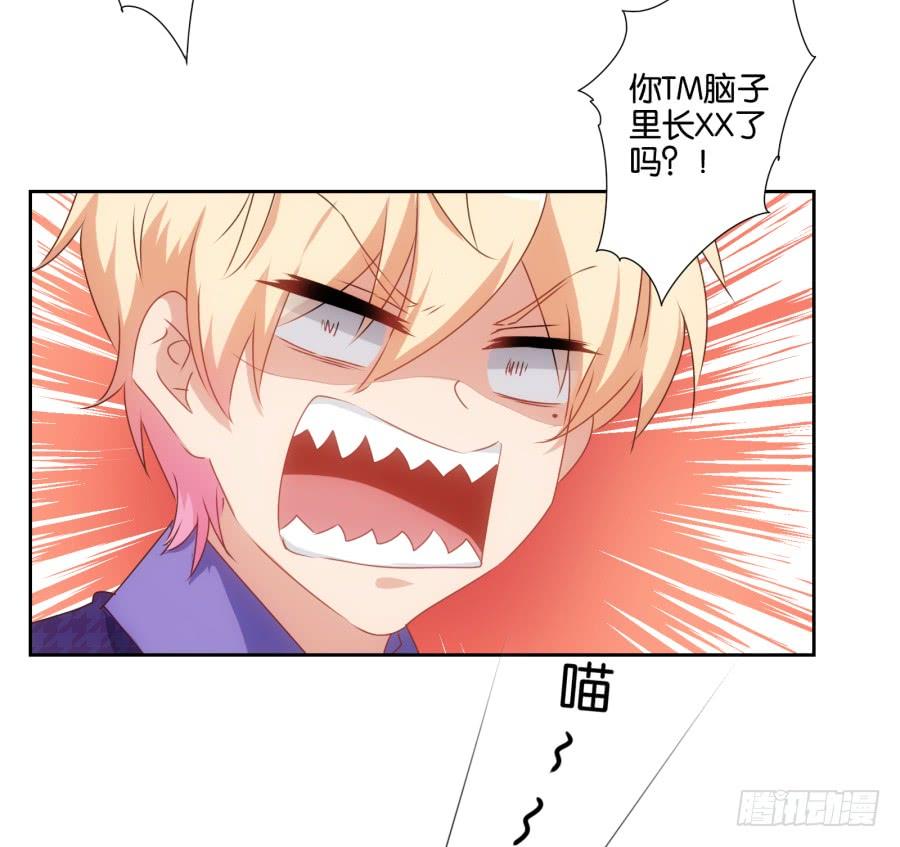 我被一只猫踩了&hellip;怎么办在线等！-第69话