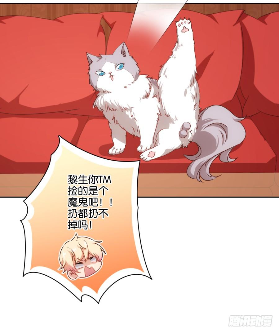 我被一只猫踩了&hellip;怎么办在线等！-第69话