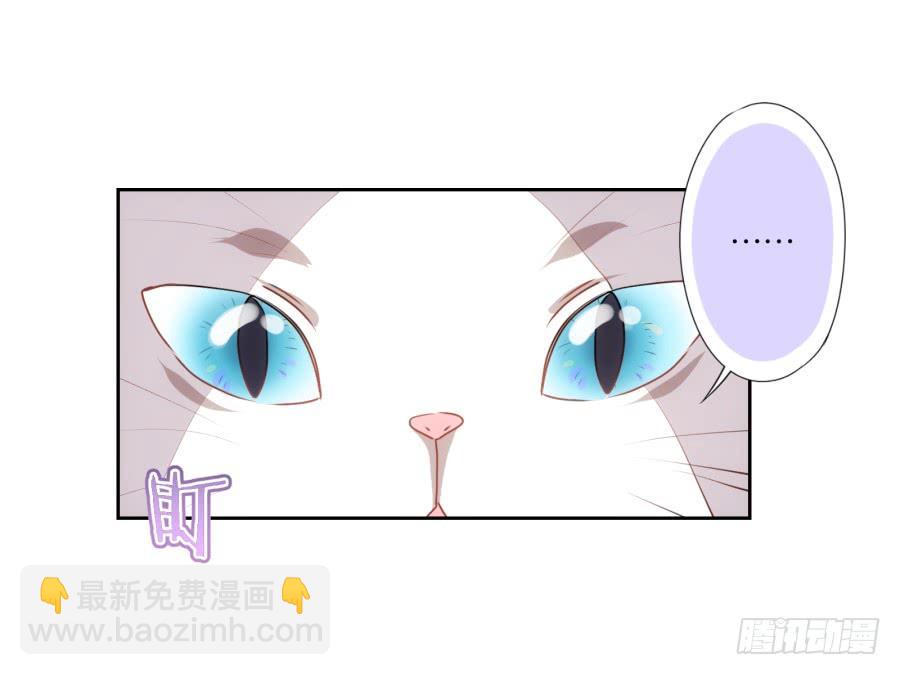 我被一只猫踩了&hellip;怎么办在线等！-第69话