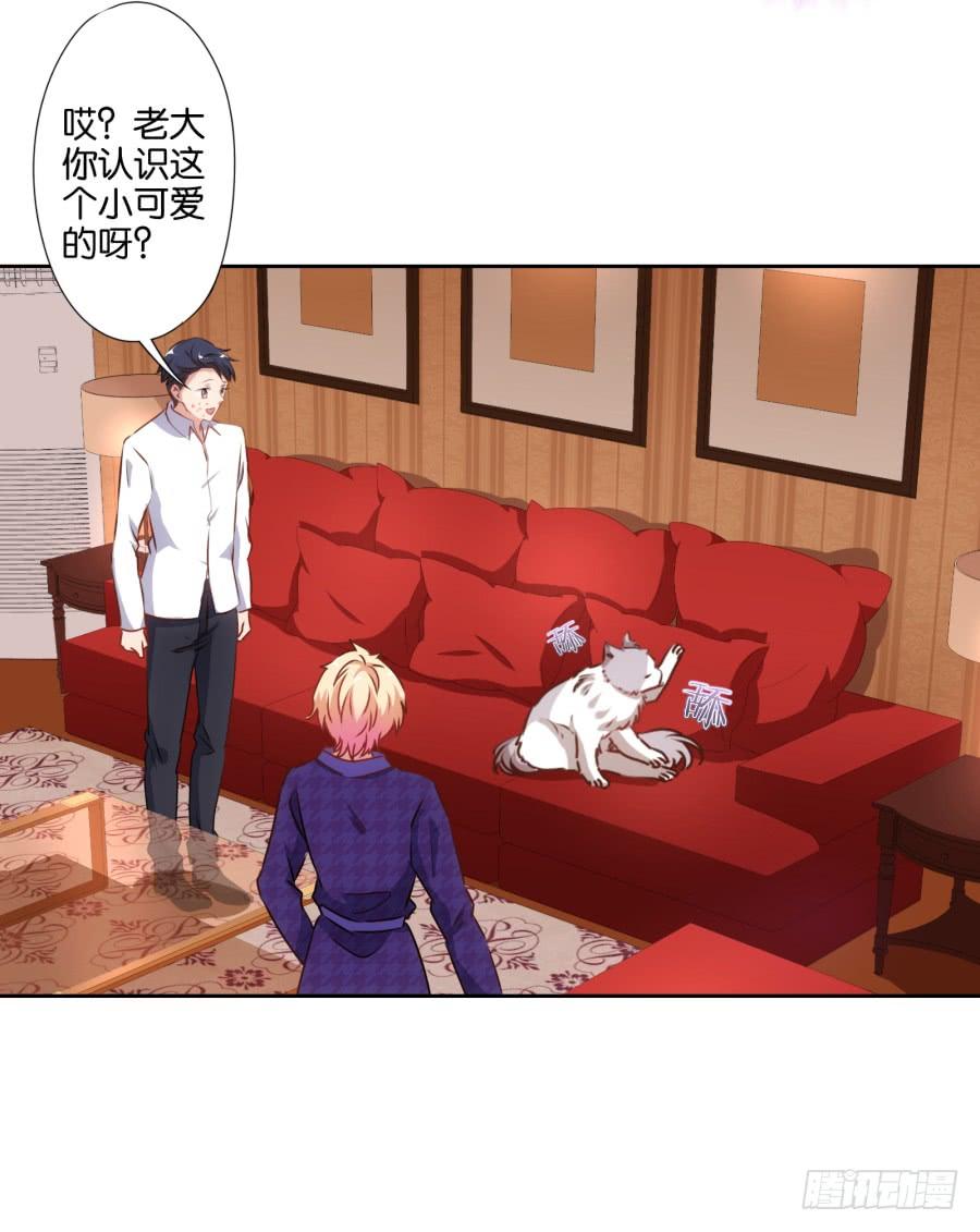 我被一只猫踩了&hellip;怎么办在线等！-第69话