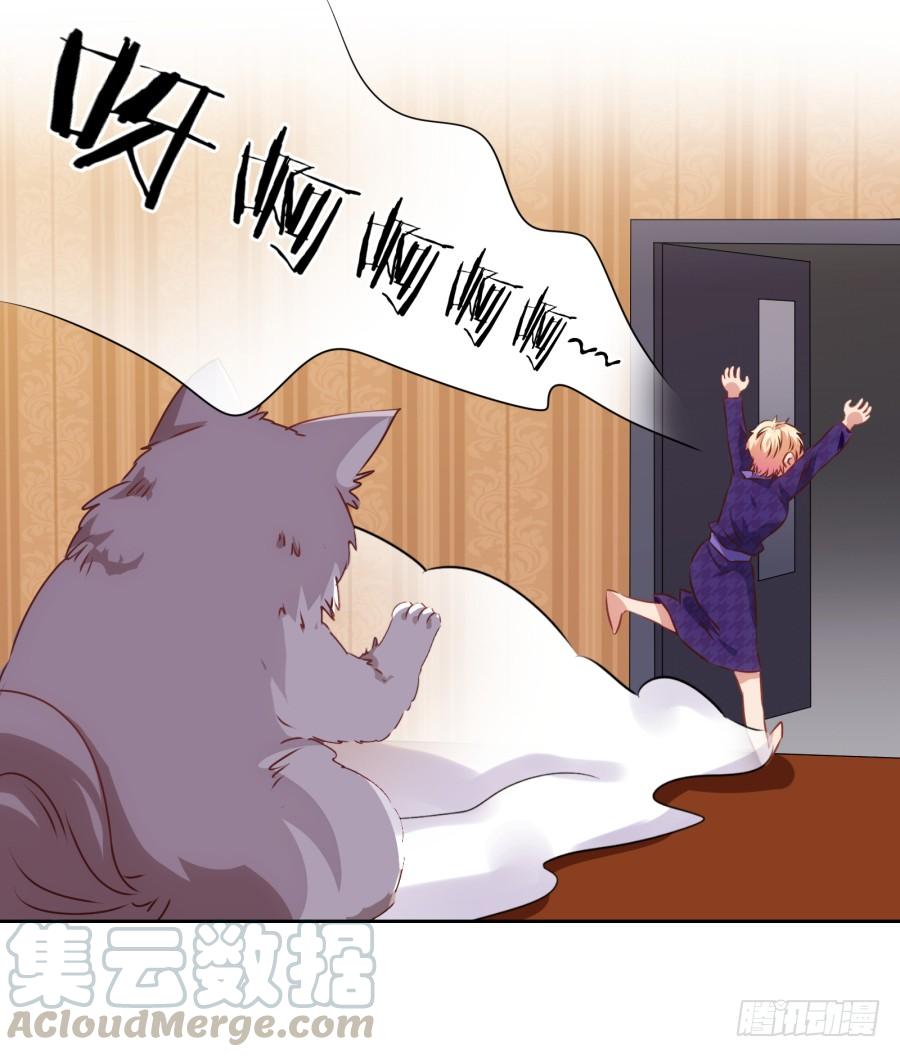 我被一只猫踩了&hellip;怎么办在线等！-第69话