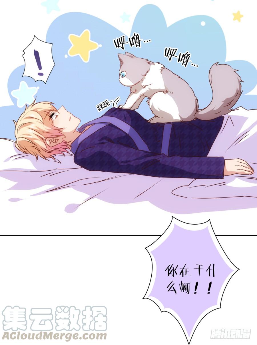 我被一只猫踩了&hellip;怎么办在线等！-第69话