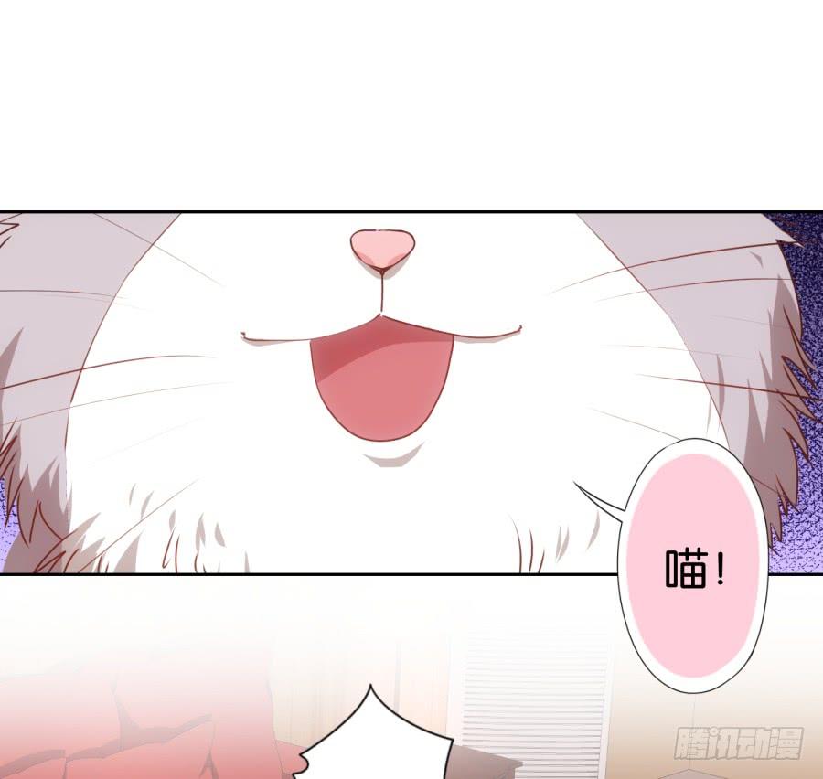 我被一只猫踩了&hellip;怎么办在线等！-第69话