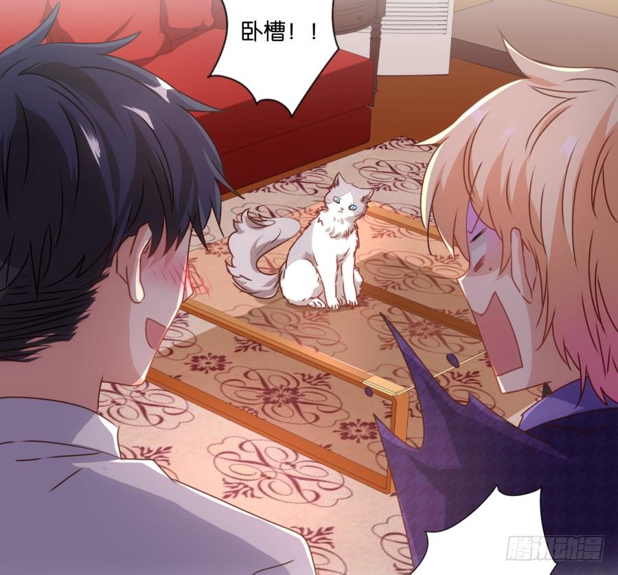 我被一只猫踩了&hellip;怎么办在线等！-第69话