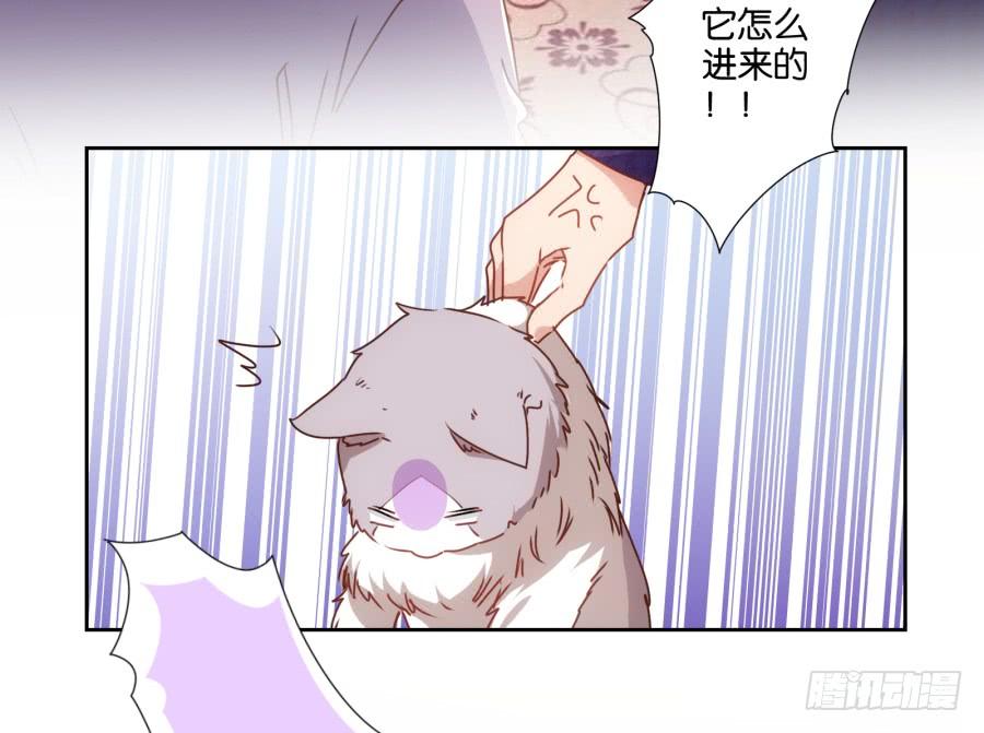 我被一只猫踩了&hellip;怎么办在线等！-第69话