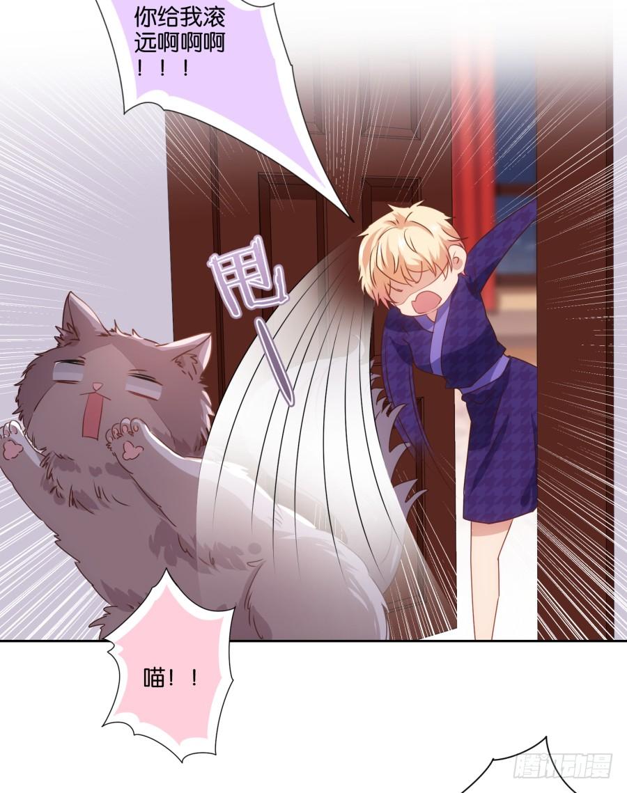 我被一只猫踩了&hellip;怎么办在线等！-第69话
