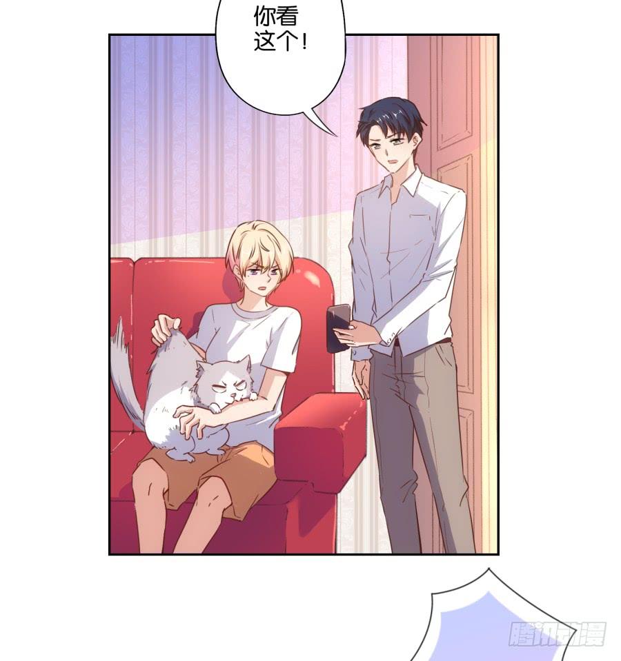 这是谁搞得鬼东西啊！！-第91话