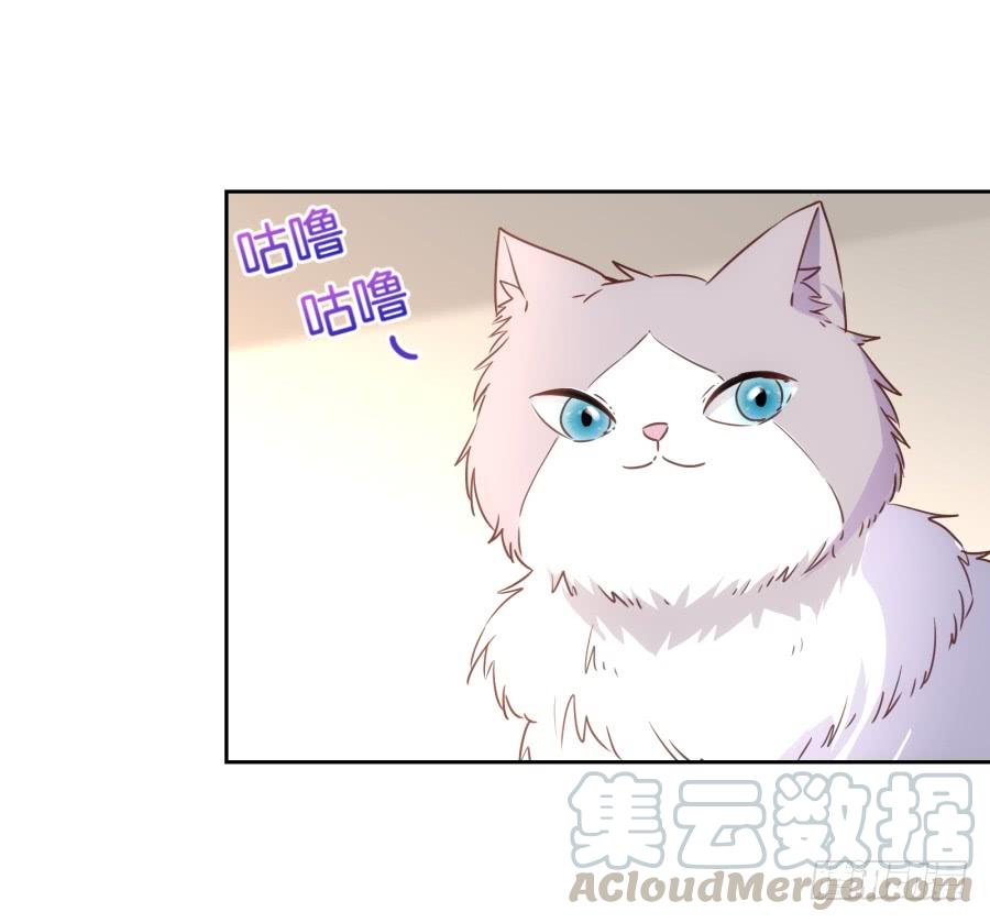 这是谁搞得鬼东西啊！！-第91话