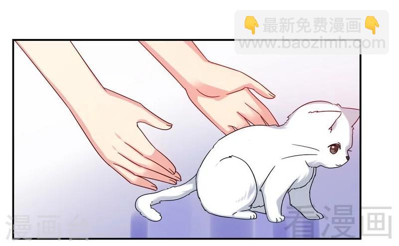 第59话 鉴定书-第59话
