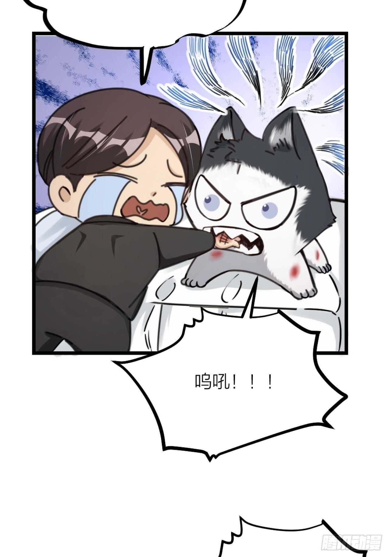 第38话 苏醒-第41话