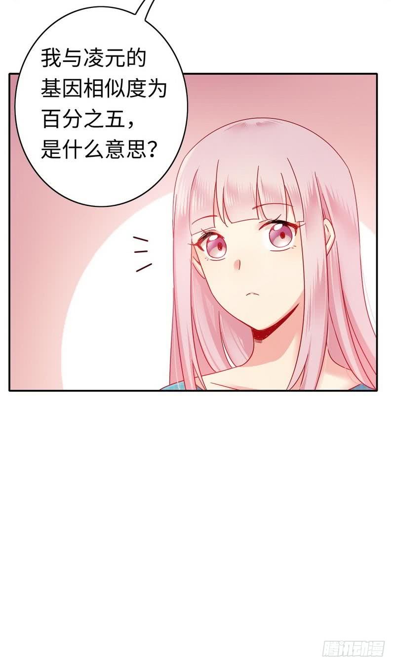 第60话 心疼-第63话