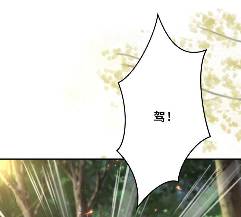 第138话 狩猎，开始了(1/2)-第141话