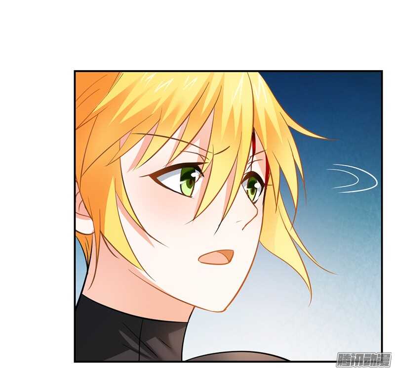 第37话 打败戴力熊-第37话