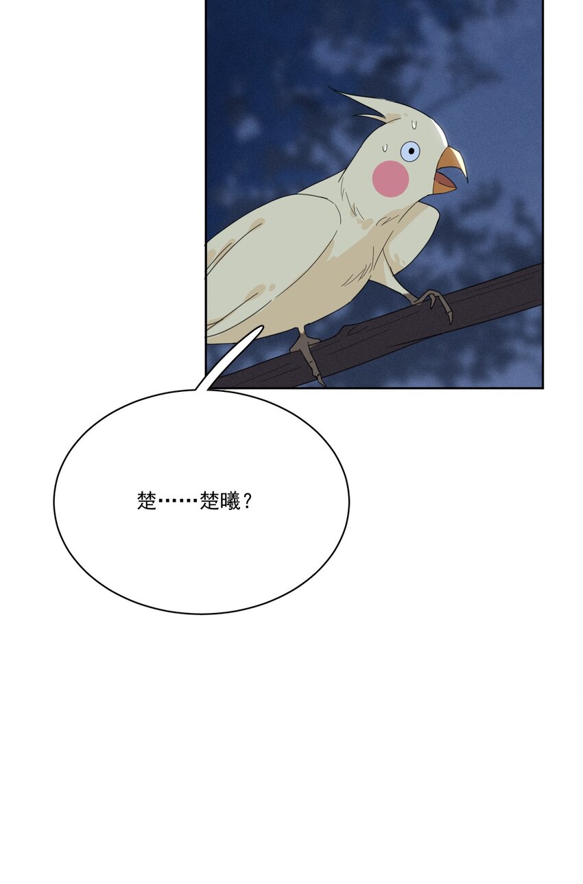 第2话 别动我的人-第3话