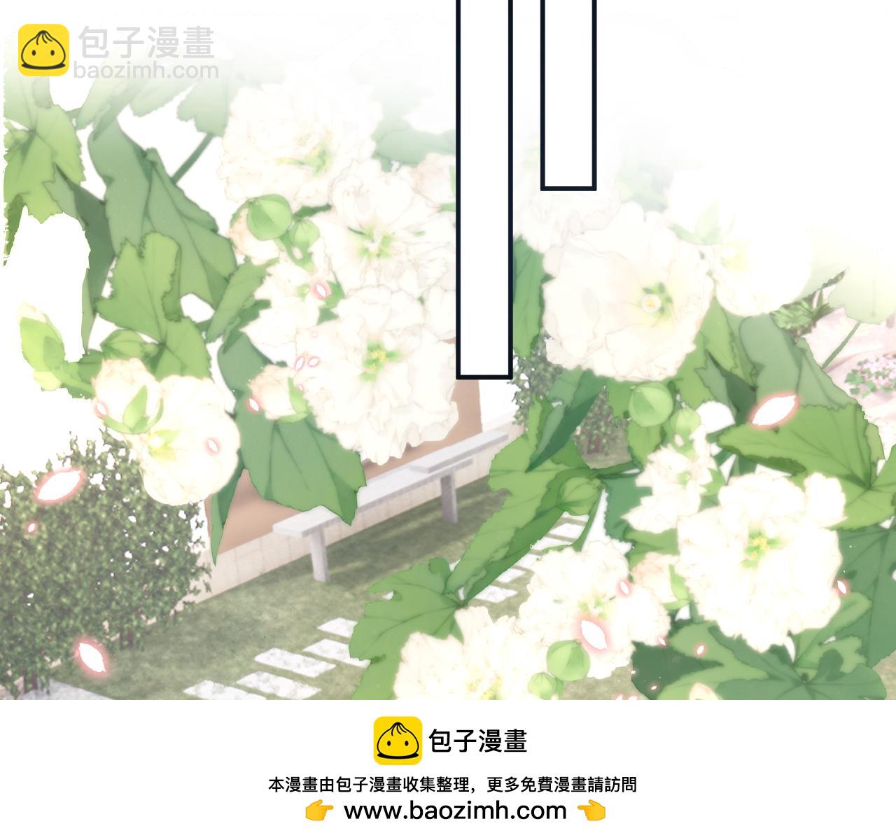 第7话 影盟(1/2)-第7话
