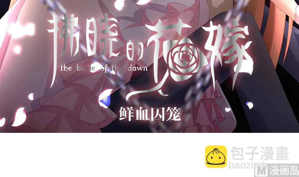 🍻拂晓的花嫁 第142话 鲜血囚笼 1 第3页
