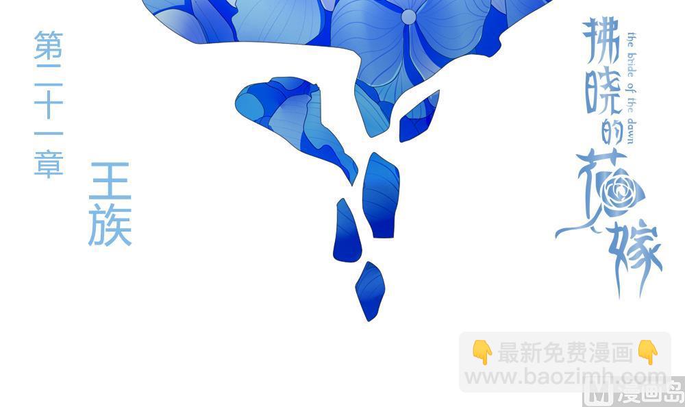 🍻拂晓的花嫁 第170话 王族 1 第3页