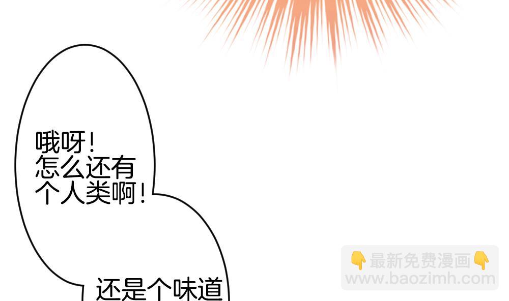 🍻拂晓的花嫁 第272话 跨越千年之人 9 第35页