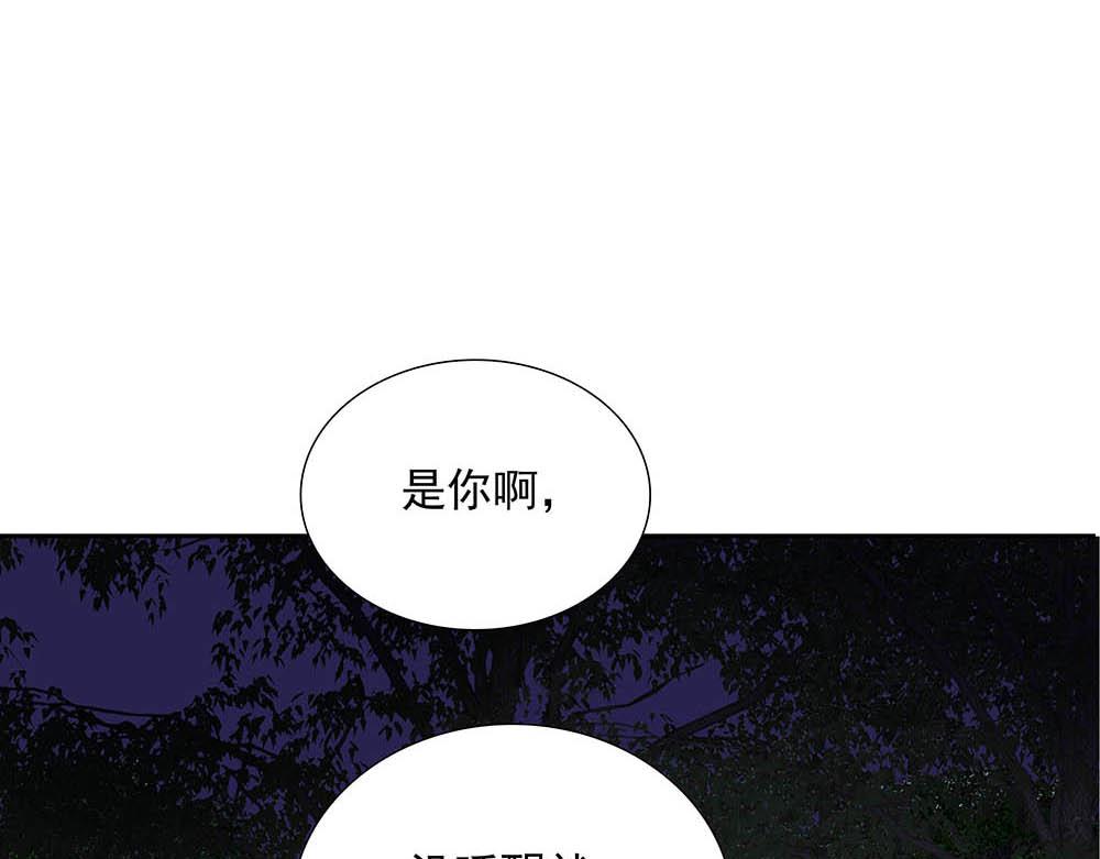 第36话  原谅我吧(1/3)-第37话