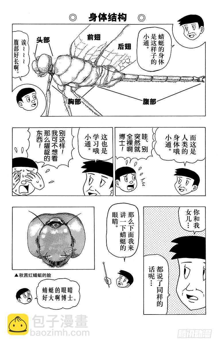 🍸搞笑漫画日和 第11幕 奇异昆虫系列 奇异红蜻 第12页